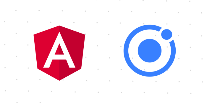 Leveraging Angular