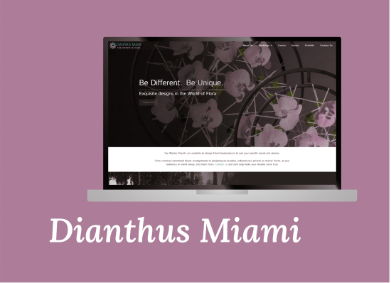 Dianthus Miami