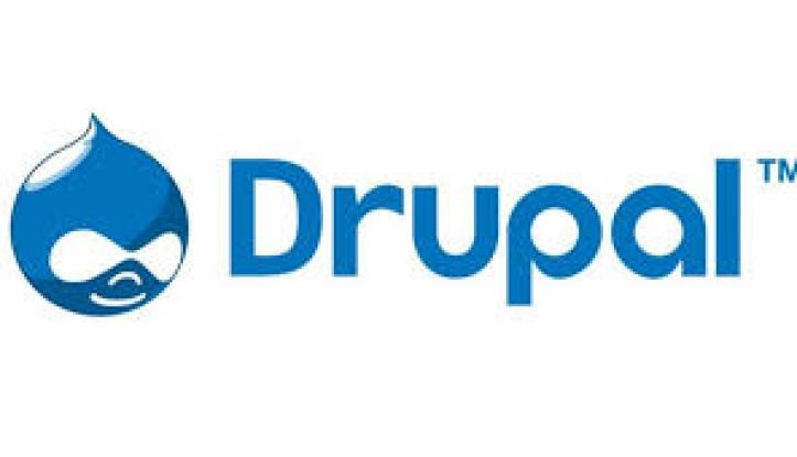 Why Your Company Need Drupal Websites?